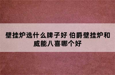 壁挂炉选什么牌子好 伯爵壁挂炉和威能八喜哪个好